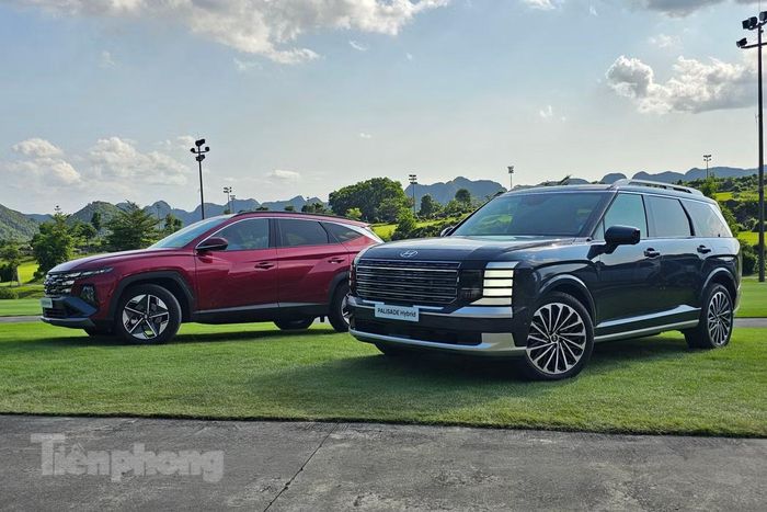 Tucson Hybrid và Palisade Hybrid dự kiến bán ra trong tháng 9 và 10.