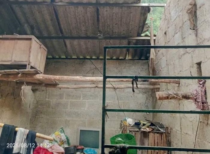 Dông lốc đã thổi bay một phần mái nhà lợp bờ lô xi măng tại xã Trà Lĩnh, Cao Bằng chiều 12/8.