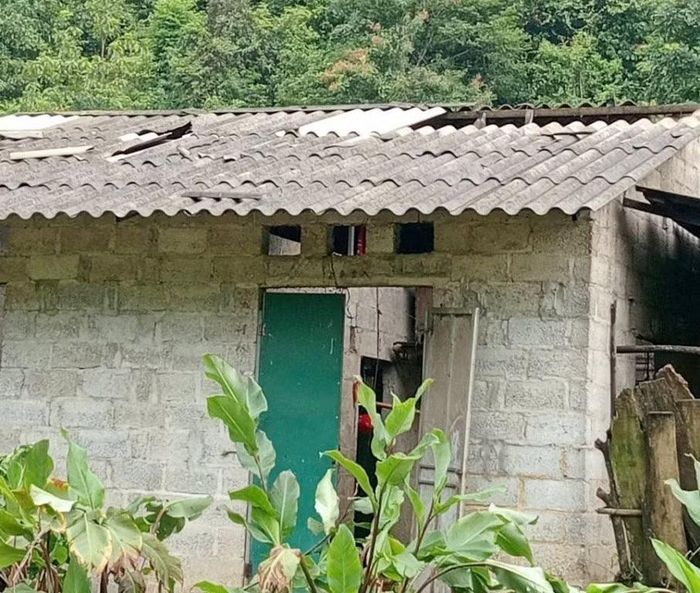 Một ngôi nhà khác, mái nhà được lợp bằng tấm bờ lô xi măng có trọng lượng nặng nhưng vẫn bị gió to thổi bay một phần.