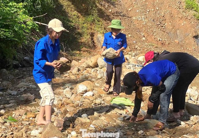 Đoàn viên thanh niên nhặt từng viên đá để dựng lại bờ kè.