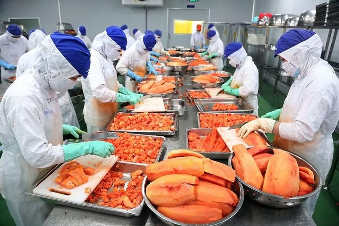 Xuất khẩu rau quả đang bước vào giai đoạn tăng tốc.