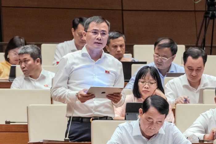 Đại biểu Tào Đức Thắng (Đoàn ĐBQH TP Hồ Chí Minh).