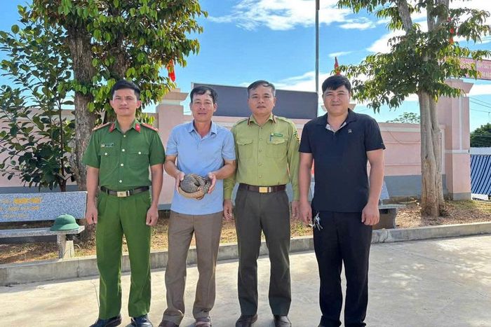 Lực lượng chức năng tiếp nhận cá thể tê tê Java nặng khoảng 2,2kg do người dân xã Châu Bình tự nguyện giao nộp.