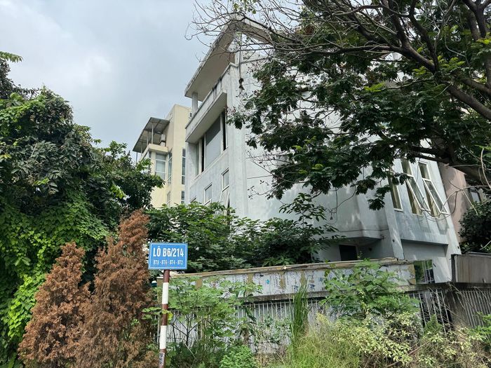 Các lô biệt thự thuộc dự án. Ảnh: Duy Anh