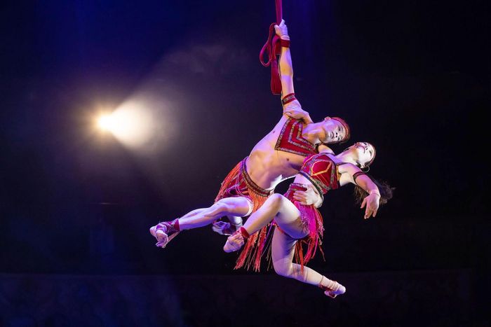 Các loại hình nghệ thuật như xiếc, ballet... trên sân khấu có đặc thù là không thể làm nháp. Ảnh: Liên đoàn Xiếc Việt Nam