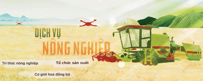Nhưng từ sau năm 2019, Lộc Trời đẩy mạnh chiến lược trở thành tập đoàn dịch vụ nông nghiệp, giảm dần sự phụ thuộc vào thuốc bảo vệ thực vật để xây dựng chuỗi giá trị lúa gạo khép kín.