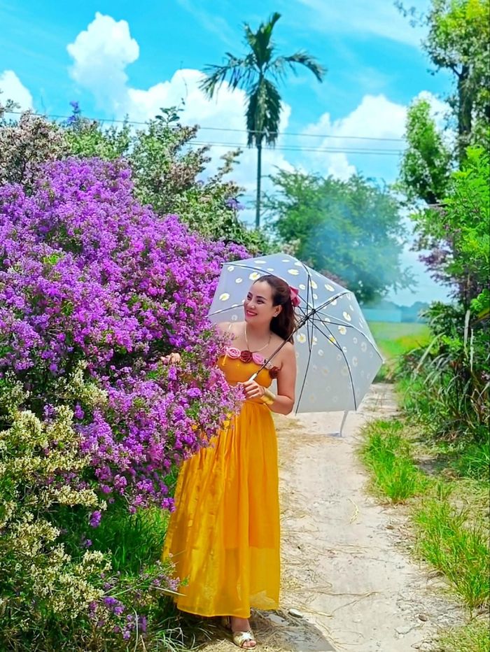 Mỗi khi vườn hoa nở rộ, chị Phương đều đến tham quan, chụp ảnh