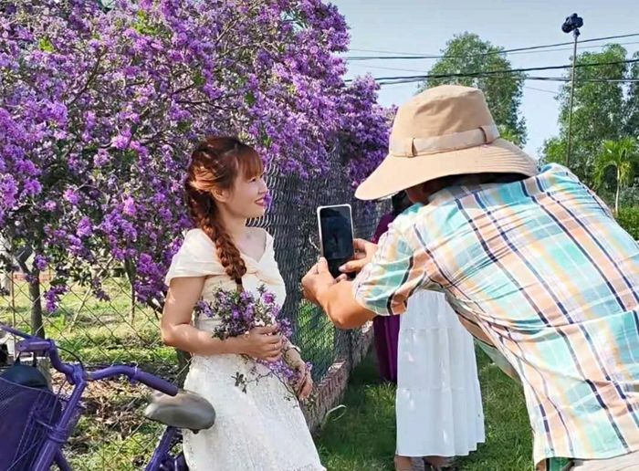 Tại vườn, khách được tham quan miễn phí. Thậm chí chủ vườn còn tặng nước uống, tình nguyện hỗ trợ chụp ảnh, quay phim...