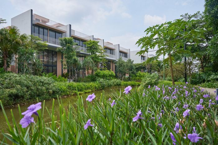 Phần lớn diện tích tại Ecovillage Saigon River dành cho cây xanh, mặt nước. Ảnh: Phong Anh