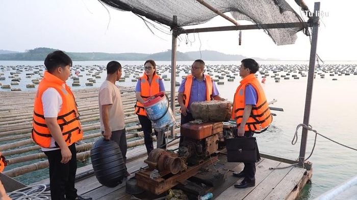 VKSND khu vực 4, tỉnh Quảng Ninh làm việc tại khu vực vi phạm.