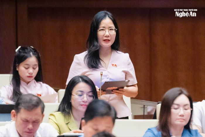 Đại biểu Nguyễn Thị Minh Tú - Giám đốc Trung tâm Khoa học xã hội và Nhân văn, Sở Khoa học và Công nghệ tỉnh phát biểu thảo luận. Ảnh: Viết Chung