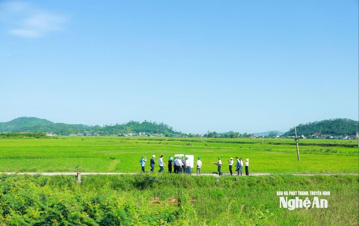 Đoàn đến kiểm tra hiện trường vị trí dự kiến triển khai Dự án Đường nối Quốc lộ 7C với ĐT.542E tại xã Yên Trung. Ảnh: Thành Duy
