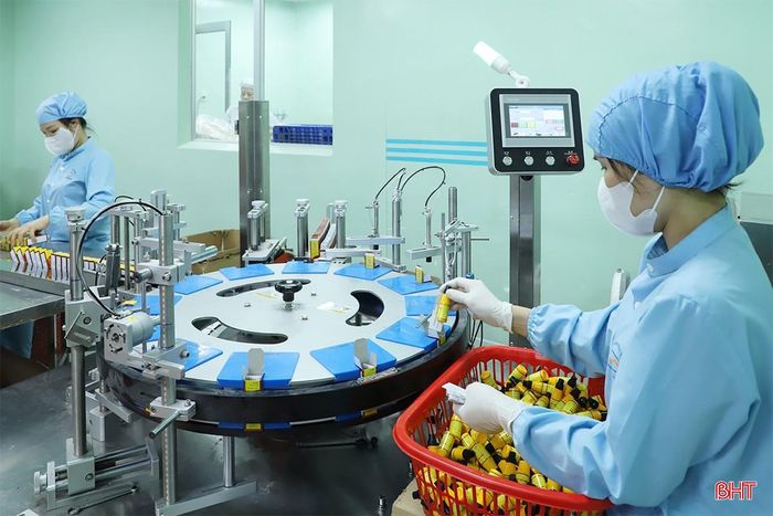 Các doanh nghiệp ở Hà Tĩnh đang đẩy mạnh sản xuất - kinh doanh, phấn đấu hoàn thành cao nhất các chỉ tiêu, nhiệm vụ năm 2026