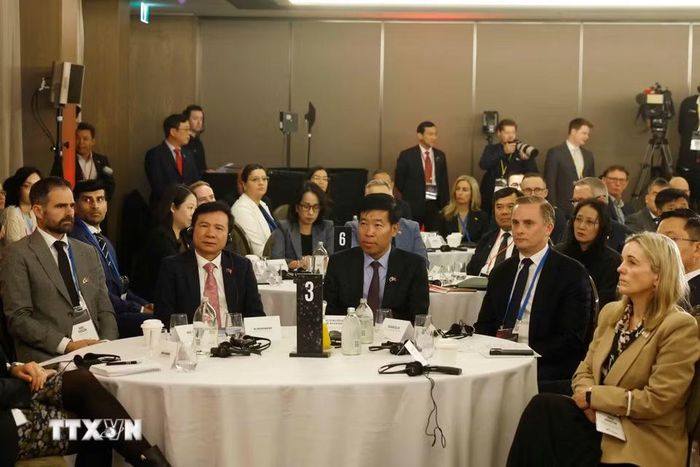 Các đại biểu dự Hội nghị bàn tròn doanh nghiệp Việt Nam-New Zealand. (Ảnh: Thống Nhất/TTXVN)