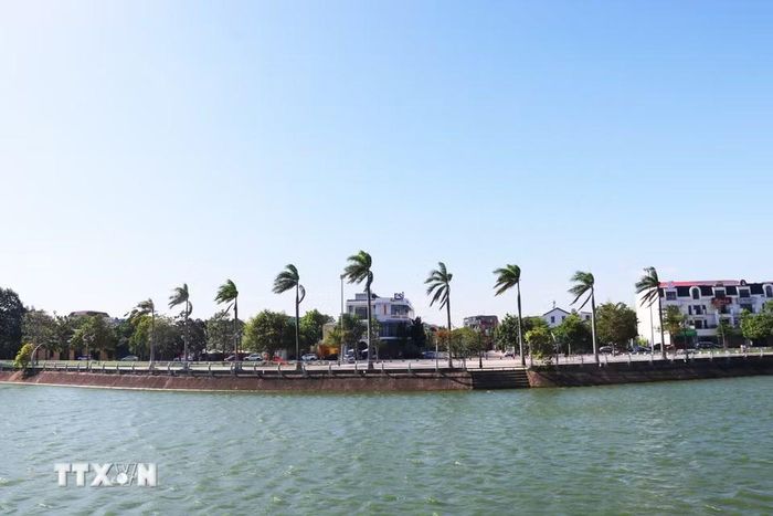 Chín cây cọ hoàng gia của Cuba được trồng trong công viên Fidel (phường Đông Hà, tỉnh Quảng Trị) tượng trưng cho tuổi 90 của lãnh tụ Fidel Castro. (Ảnh: Tường Vi/TTXVN)