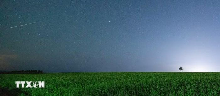 Mưa sao băng Perseid trên bầu trời tỉnh Hắc Long Giang, Trung Quốc, ngày 12/8/2026. (Ảnh: THX/TTXVN phát)