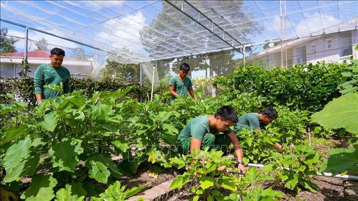 Theo UBND tỉnh Tây Ninh, thanh niên là hạ sĩ quan, chiến sĩ hoàn thành nghĩa vụ được rèn luyện tác phong, ý thức tổ chức, kỷ luật trong môi trường quân đội, có nền tảng để tiếp tục học nghề, lập nghiệp sau khi xuất ngũ.