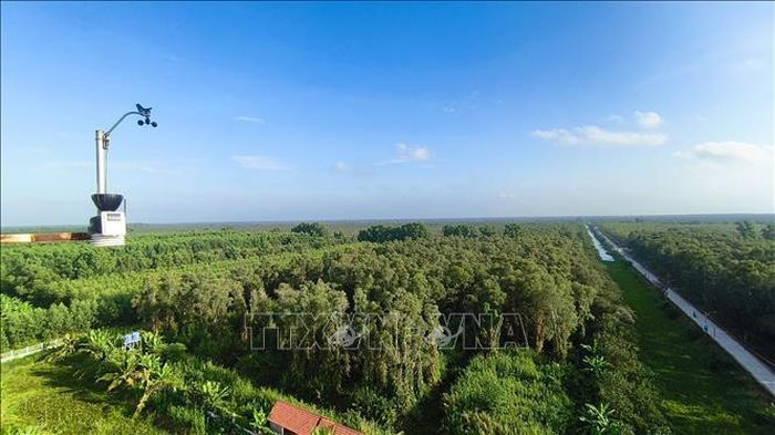 Vườn quốc gia U Minh Hạ (tỉnh Cà Mau).