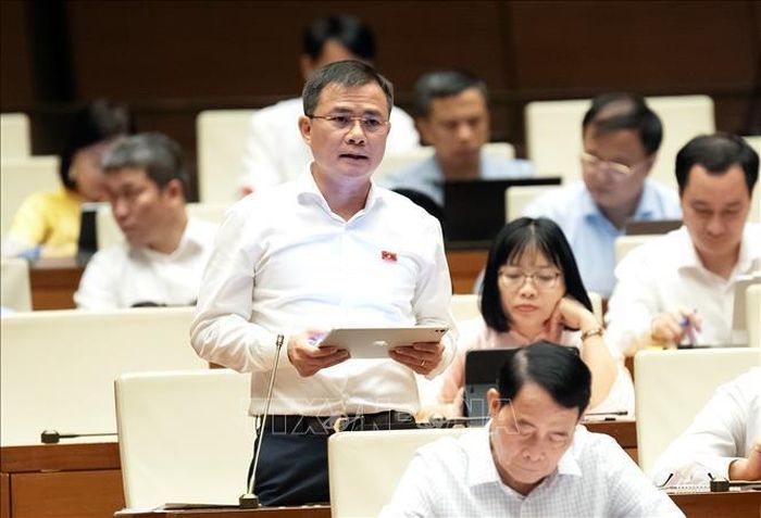 Đại biểu Quốc hội Thành phố Hồ Chí Minh Tào Đức Thắng phát biểu. Ảnh; Doãn Tấn/TTXVN