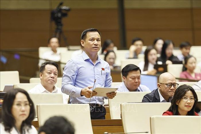 Đại biểu Quốc hội tỉnh Đắk Lắk Trần Quang Tâm phát biểu. Ảnh; Doãn Tấn/TTXVN