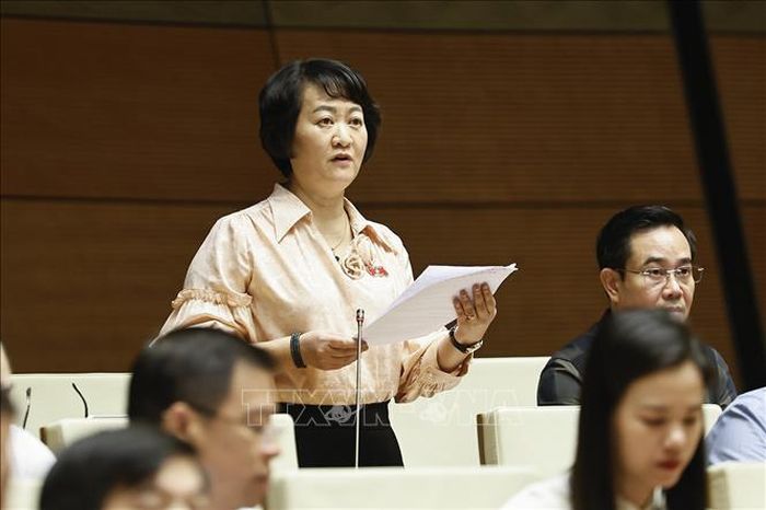Đại biểu Quốc hội tỉnh Hưng Yên Thái Thị Thu Hường phát biểu. Ảnh: Doãn Tấn/TTXVN