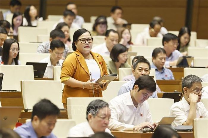 Đại biểu Quốc hội thành phố Huế Nguyễn Thị Sửu phát biểu. Ảnh; Doãn Tấn/TTXVN