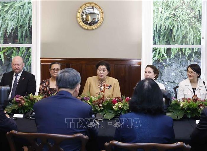Tổng Bí thư, Chủ tịch nước Tô Lâm hội đàm với Toàn quyền New Zealand Cindy Kiro. Ảnh: Thống Nhất/TTXVN