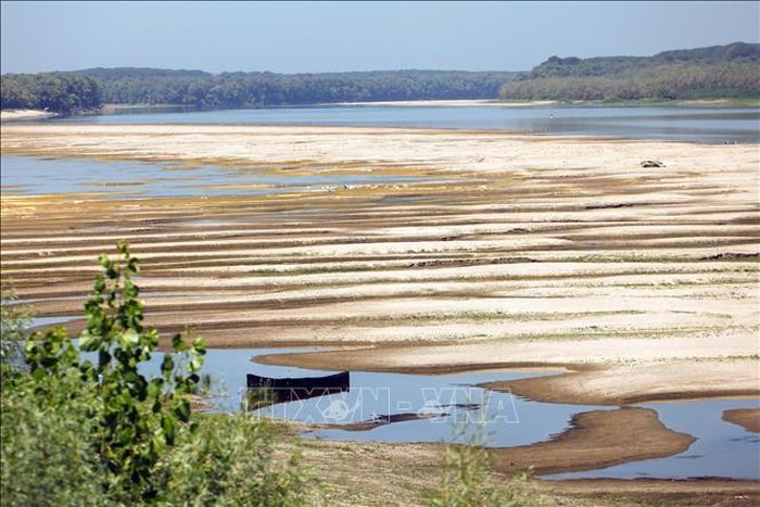 Tại Romania, mực nước sông Danube giảm xuống mức thấp kỷ lục buộc nước này phải bắt đầu dừng có kiểm soát tổ máy số 2 của Nhà máy điện hạt nhân Cernavoda từ ngày 13/8. Tổ máy số 1 đã ngừng hoạt động từ cuối tháng 7. Ảnh: THX/TTXVN phát