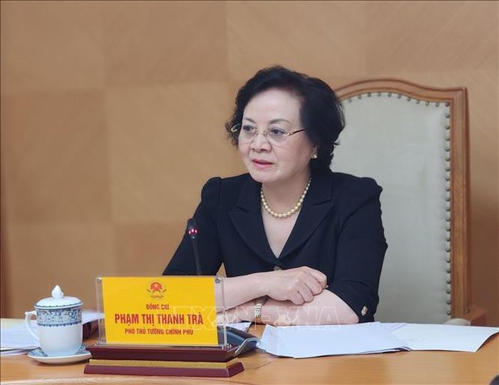 Phó Thủ tướng Phạm Thị Thanh Trà phát biểu chỉ đạo.