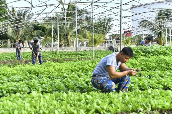Công tác tăng gia sản xuất được chú trọng.