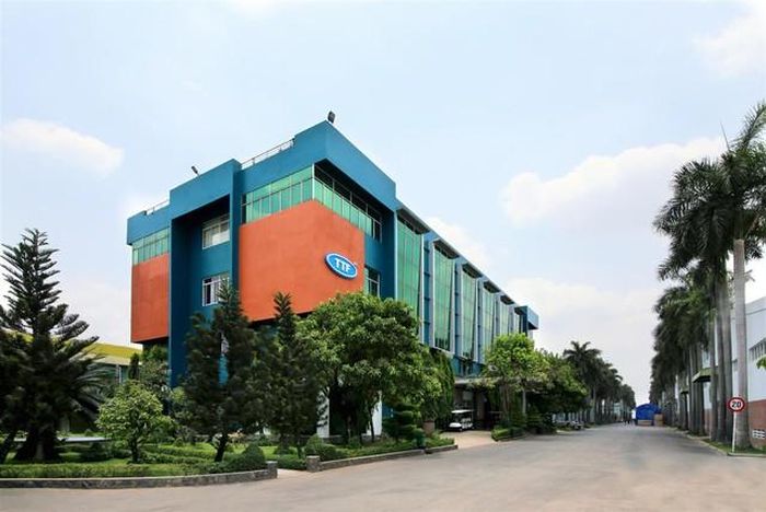 Gỗ Trường Thành lỗ 270 tỷ đồng sau nửa đầu năm (Ảnh: TTF).