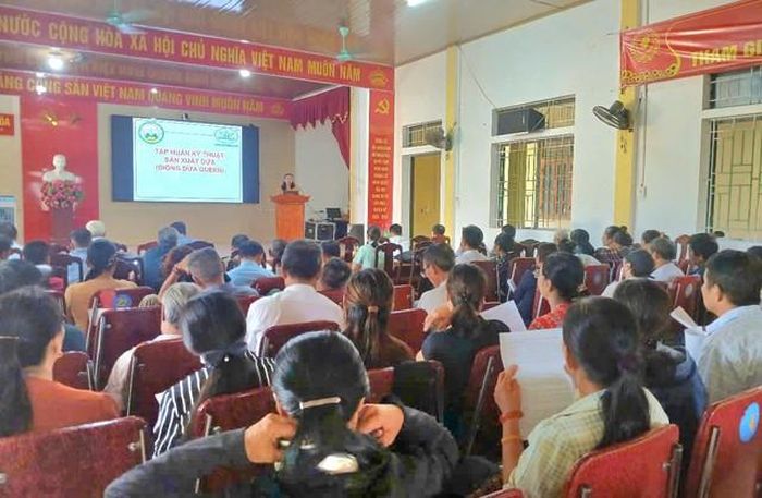 Từ đầu năm đến nay Trung tâm Giống nông nghiệp Nghệ An đã tổ chức được 12 lớp tập huấn để hướng dẫn cho người dân.