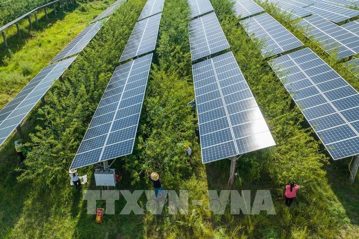 Bulgaria nổi lên là thị trường lưu trữ pin hàng đầu thế giới. Ảnh minh họa: AFP/TTXVN