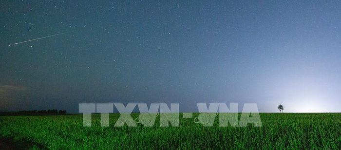 Mưa sao băng Perseid trên bầu trời tỉnh Hắc Long Giang, Trung Quốc, ngày 12/8/2026. Ảnh: THX/TTXVN phát
