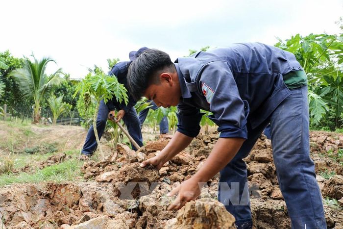 Từng thao tác đào tìm đều được các chiến sĩ thực hiện cẩn trọng. Ảnh: Hồng Thái - TTXVN