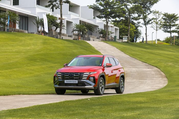 Hyundai Palisade Hybrid (bên trên) và Tucson Hybrid (bên dưới).