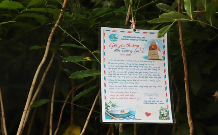 Những dòng cảm nghĩ, lời nhắn gửi được cán bộ, hội viên phụ nữ viết kèm theo từng mầm xanh gửi đến cán bộ, chiến sĩ Trường Sa.