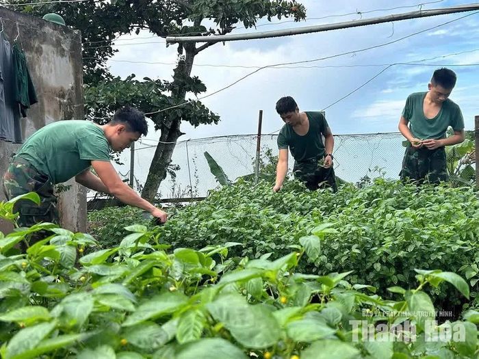 Cán bộ, chiến sĩ Đảo Nẹ tăng gia sản xuất trên đảo.
