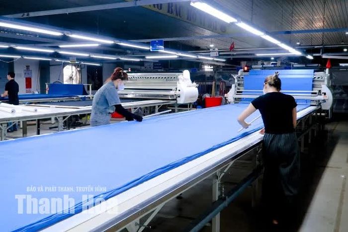 Máy cắt tự động tại Công ty CP Tập đoàn Tiên Sơn.