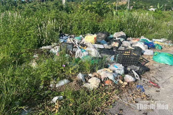 Rác thải sinh hoạt bị đổ trộm bên cạnh chợ Bến Sung.
