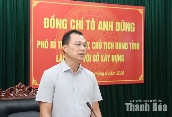 Chủ tịch UBND tỉnh Tô Anh Dũng phát biểu chỉ đạo tại buổi làm việc.