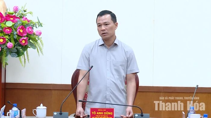 Chủ tịch UBND tỉnh Tô Anh Dũng phát biểu tại buổi làm việc. Ảnh: Xuân Trường
