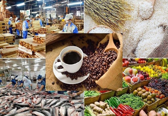 Nông sản, thực phẩm và thủy sản Việt Nam xuất khẩu sang thị trường Italia phải trải qua nhiều quy trình thẩm định nghiêm ngặt. Ảnh: MOIT.