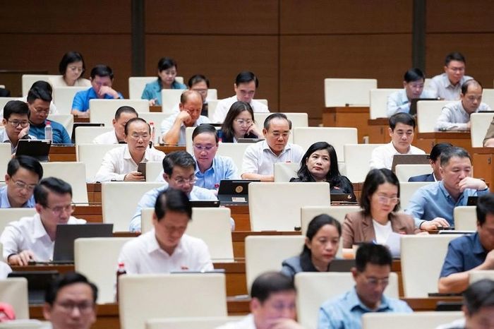 Các đại biểu tại Phiên họp. Ảnh: quochoi.vn.