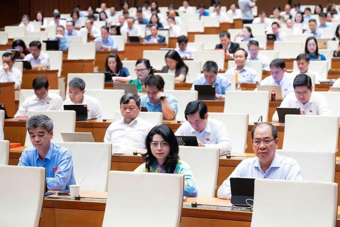 Các đại biểu tại Phiên họp. Ảnh: quochoi.vn.