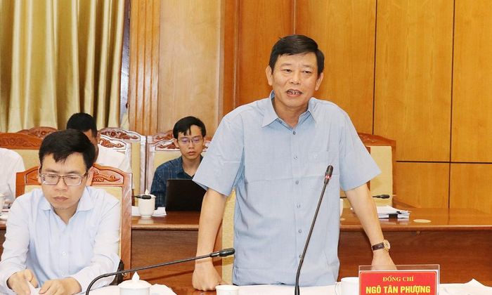  Phó Chủ tịch UBND tỉnh Ngô Tân Phượng phát biểu tại buổi làm việc. 