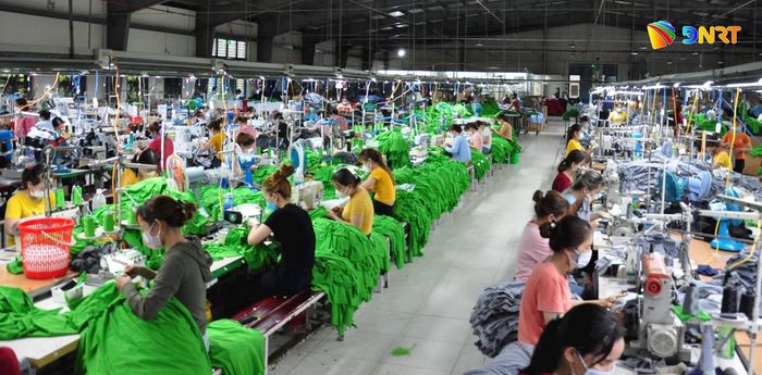 Hoạt động sản xuất ngành may may tại một doanh nghiệp trên địa bàn thành phố Đà Nẵng. Ảnh: VINH ANH