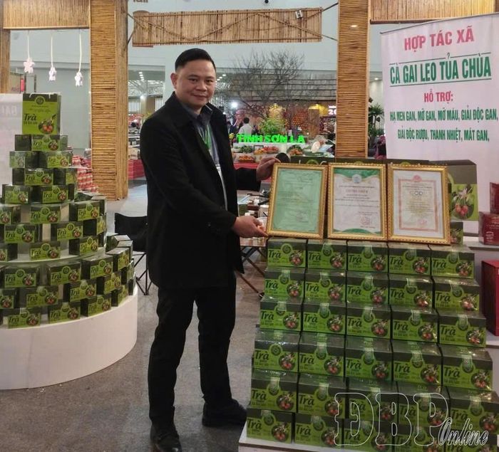 Sản phẩm Trà túi lọc Cà gai leo của HTX Cà gai leo Tủa Chùa được vinh danh là sản phẩm HTX tiêu biểu tỉnh Điện Biên năm 2026 và Giải thưởng Mai An Tiêm do Liên minh HTX Việt Nam trao tặng.
