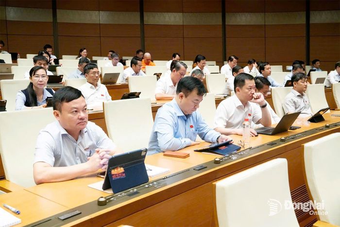 Các đại biểu Đoàn Đại biểu Quốc hội thành phố Đồng Nai tham dự phiên họp sáng 13-8. Ảnh: CTV