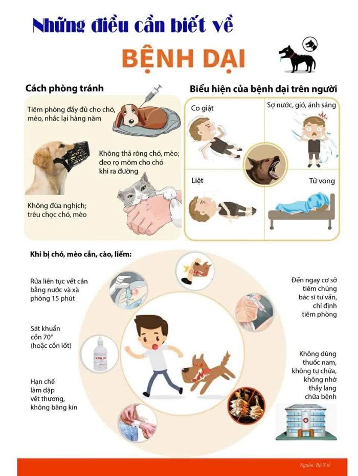 Khuyến cáo phòng ngừa bệnh dại của Bộ Y tế. Ảnh: BYT